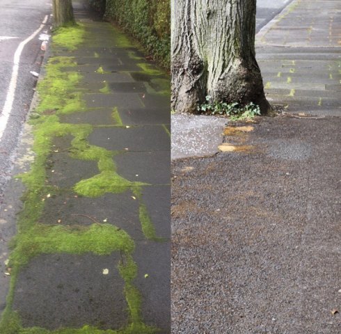 Moss Removal, Belfast