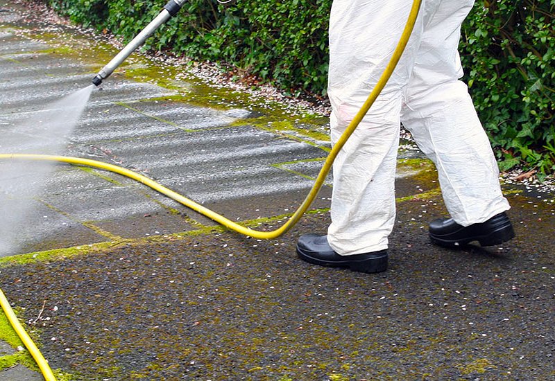 Treatment of Moss and Algae